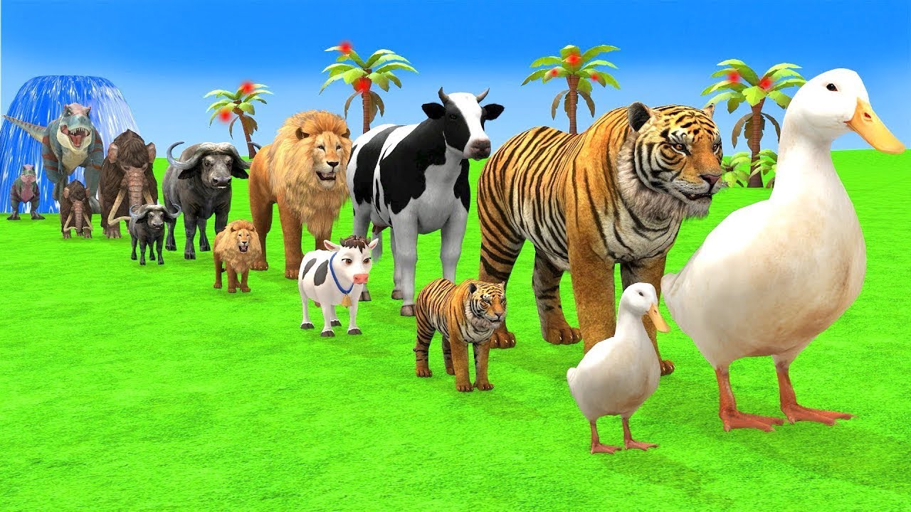 Long Slide Game With Elephant Gorilla Buffalo Hippopotamus Tiger - 3d Animal Game - Funny 3d Animals