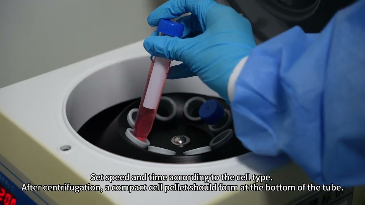 Cell Culture Workflow: Cell Passaging