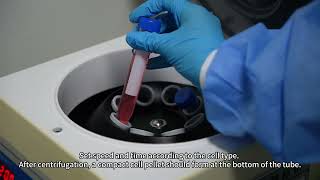 Cell Culture Workflow Cell Passaging