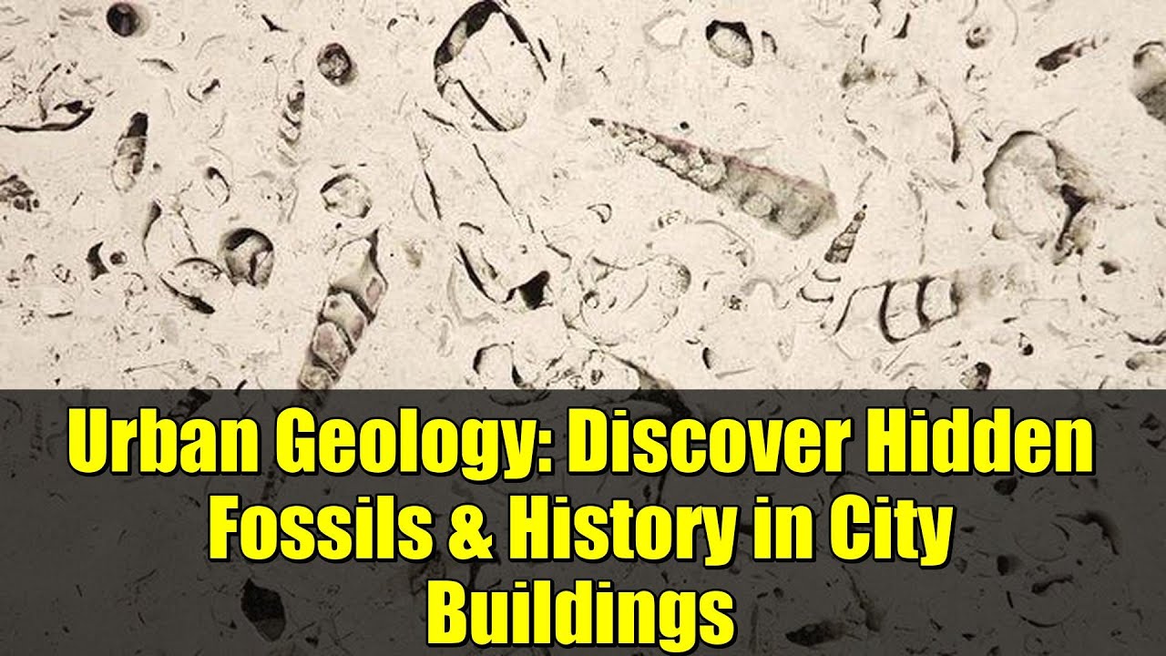 Urban Geology: Discover Hidden Fossils & History in City Buildings