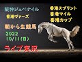 【中央競馬】阪神ジュベナイルフィリーズ 香港競馬　 朝から生競馬　ライブ配信　（中山→中京→阪神）Horse Racing Commentary
