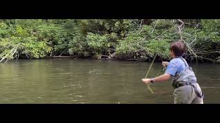 Fly Fishing for Trout in the Dan River -  Primland Resort Wading Charter