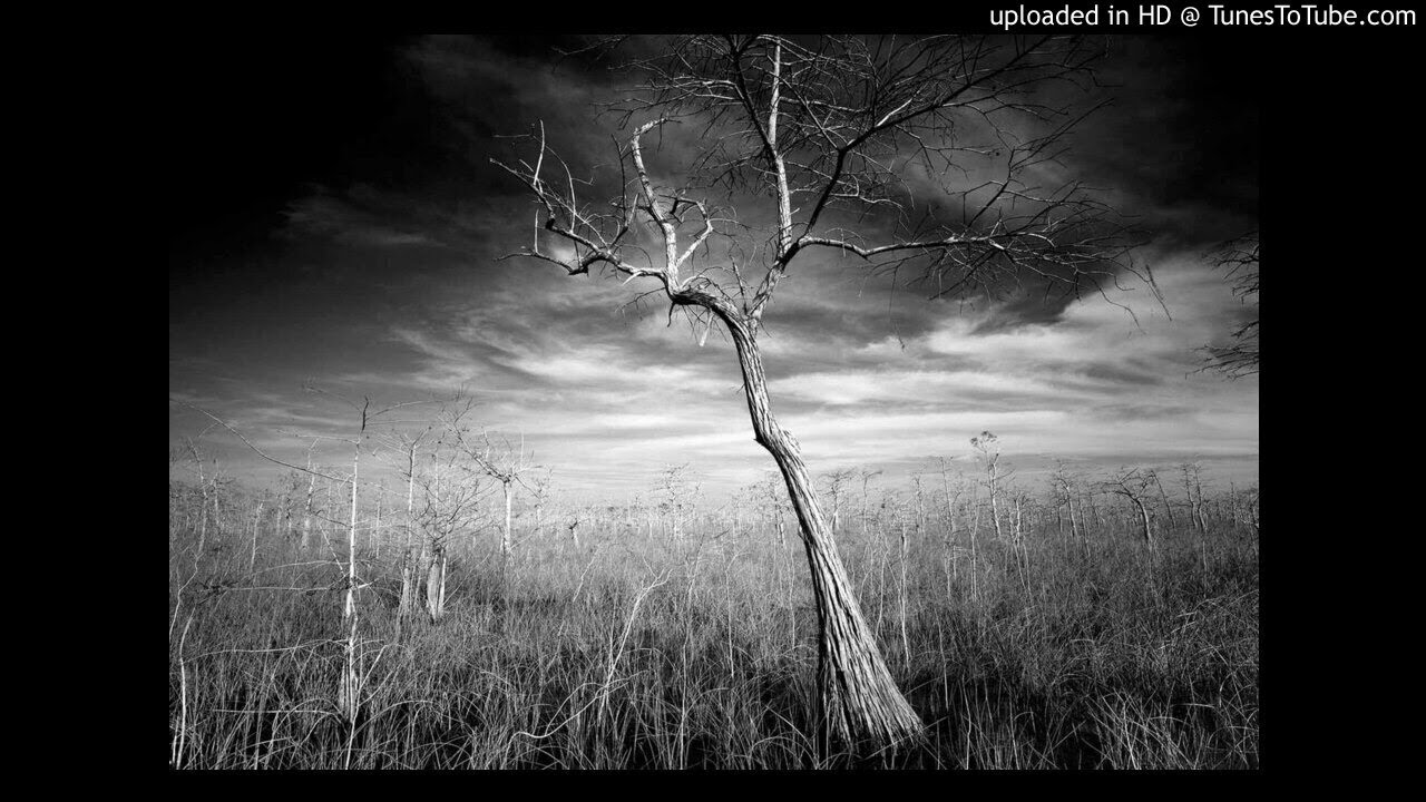 Watch Benjamin Fehr - Splendid Isolation (Original Mix) on YouTube Watch Benjamin Fehr - Splendid Isolation (Original Mix) on YouTube