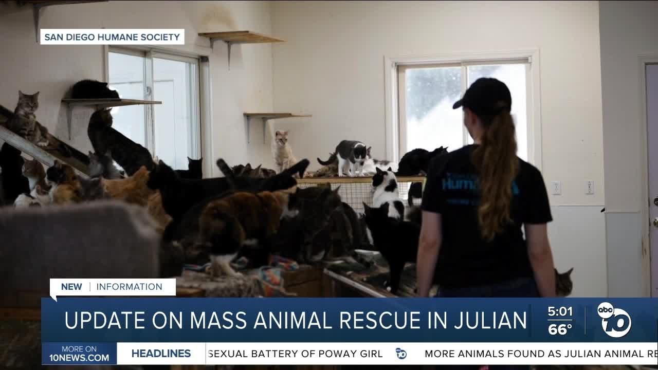San Diego Humane Society provides an update on Julian mass animal ...