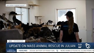 San Diego Humane Society provides an update on Julian mass animal rescue