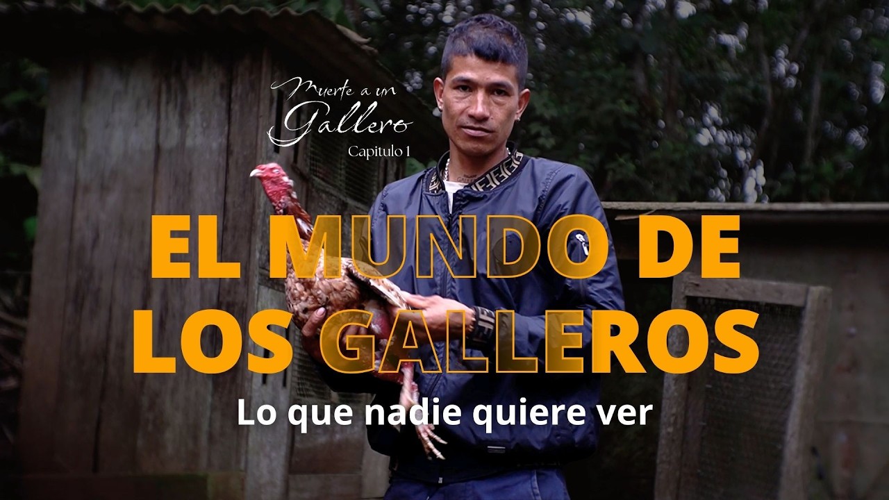 La practica que LATAM quiere ERRADICAR | Muerte a un Gallero - Capitulo 1