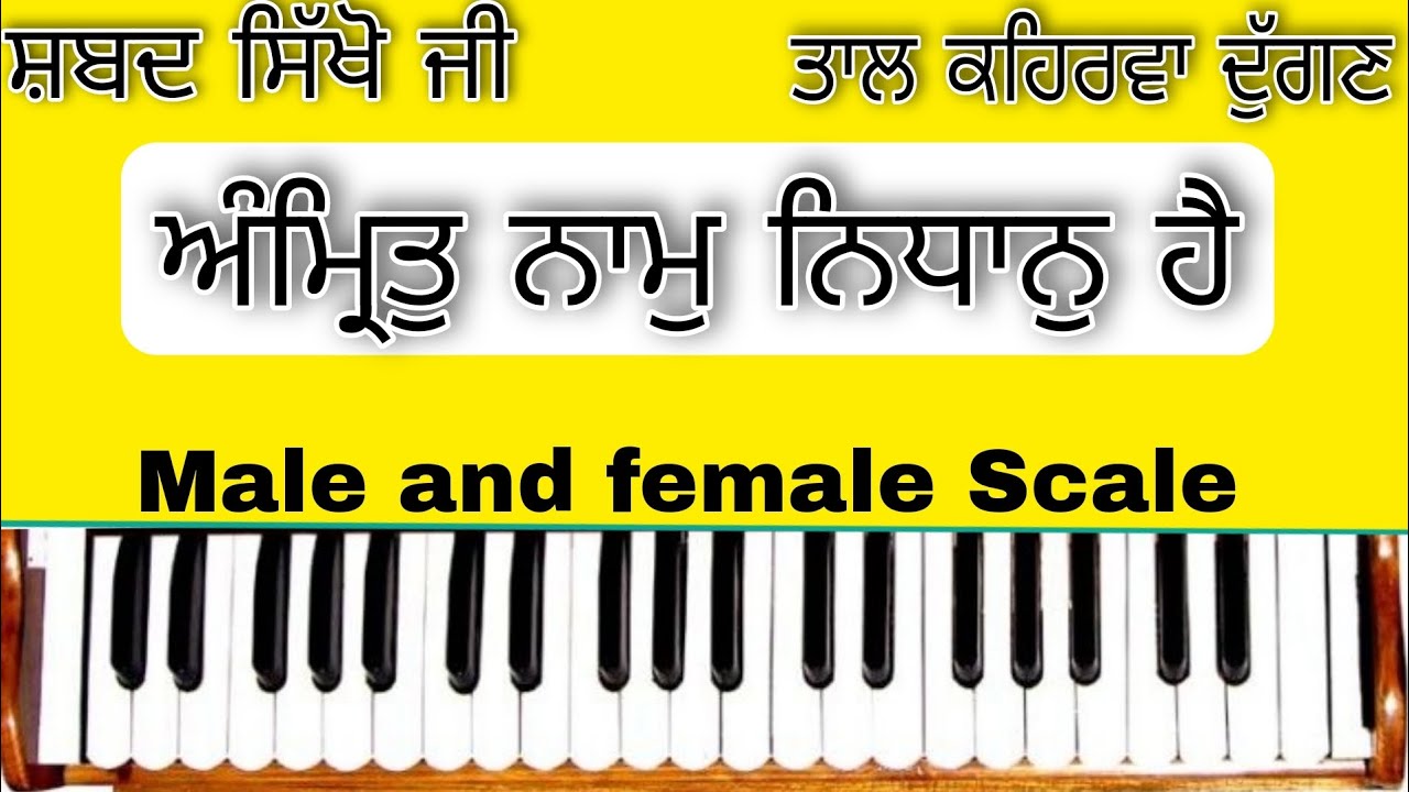 Learn Shabad ( AMRIT NAAM NIDHAN HAI ) On Harmonium ( Male and Female Scale )