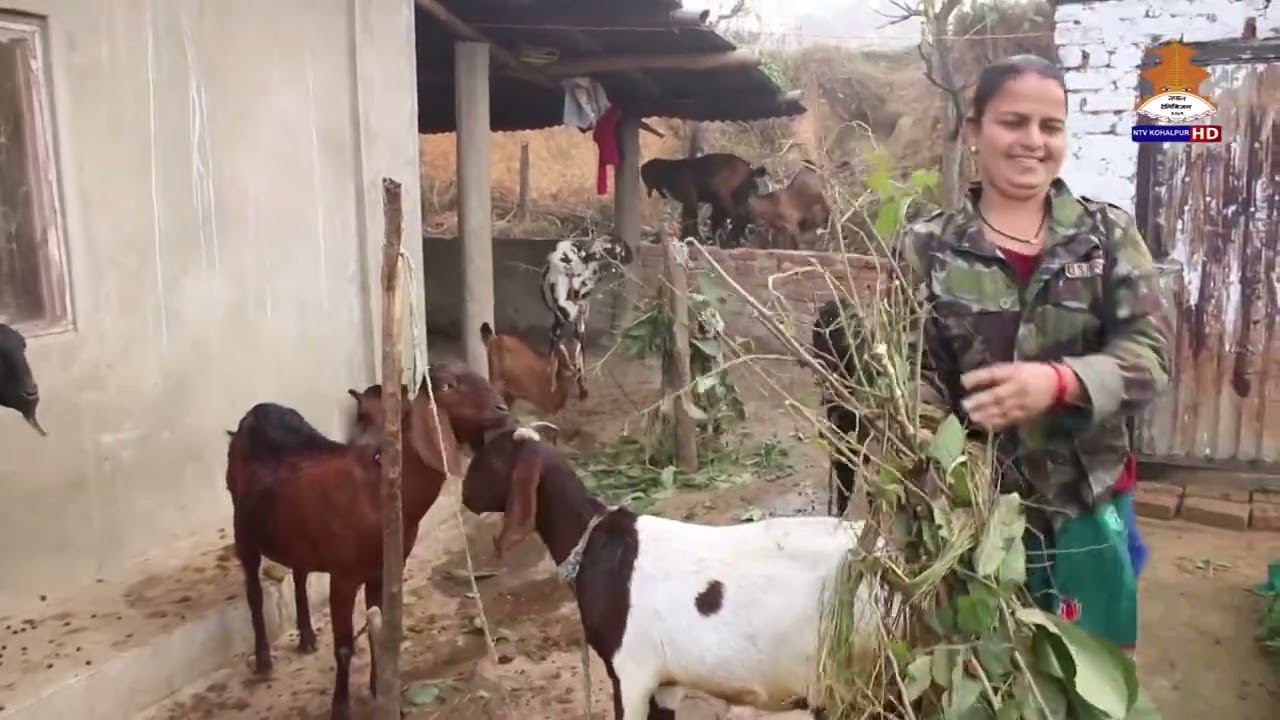 सानो सहयोगले ठूलो परिवर्तन सम्भव हुन्छ भन्ने उदाहरण  यी महिलाहरूले समाजलाई देखाइरहेका छन्