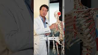 Costochondritis: What Is It?