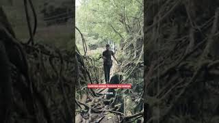 JEMBATAN INI TERBUAT ALAMI