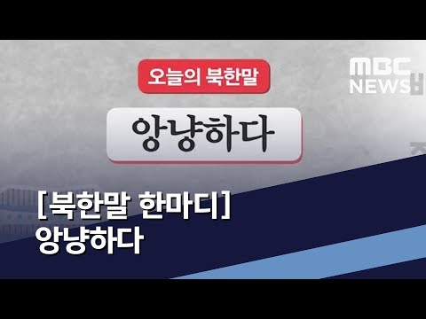 [북한말 한마디] 앙냥하다 / MBC 통일전망대 (2019년 12월 07일)