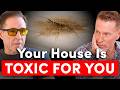 Most Homes Have This Dangerous Problem | Mold Reality with Dave Asprey