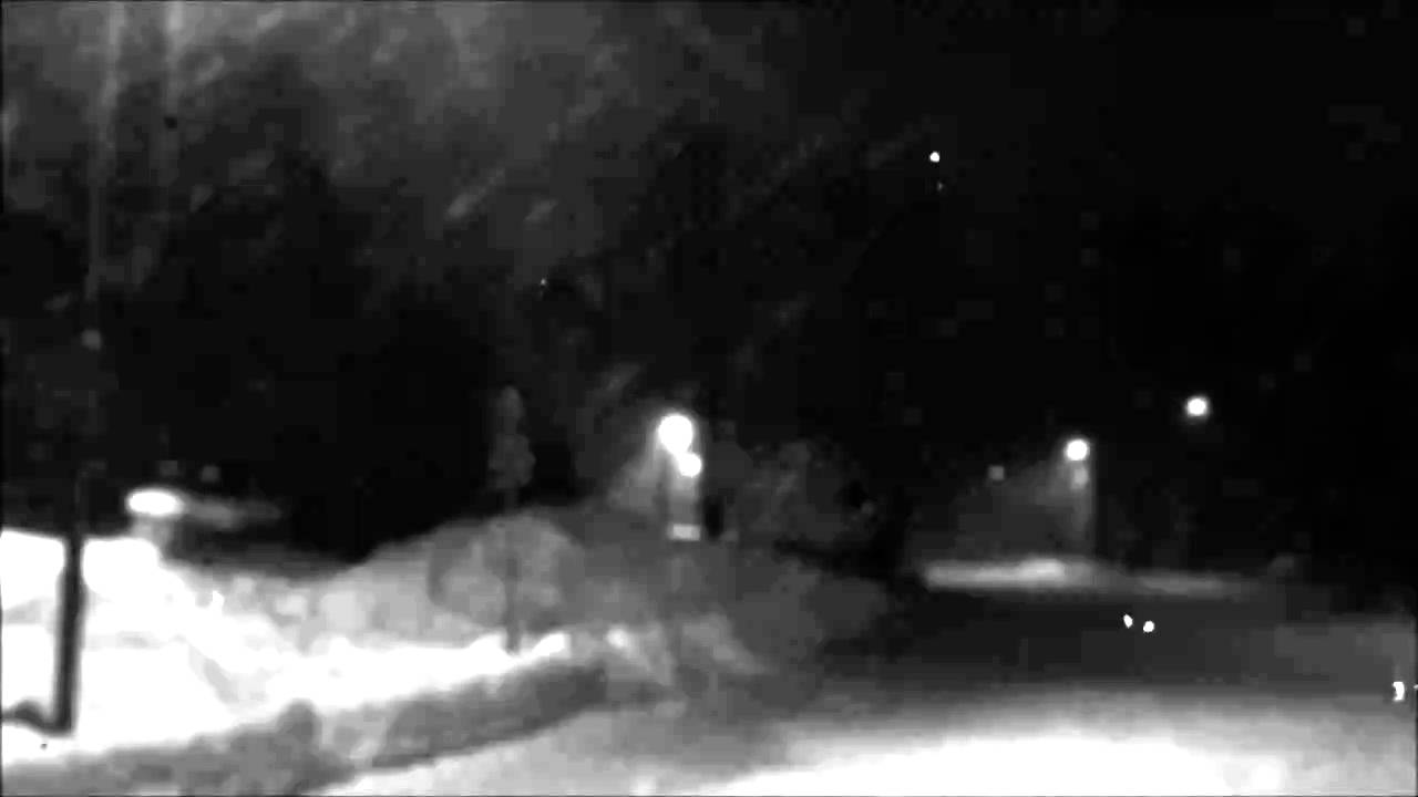 Pro424 - Snow (Rise to revolution)