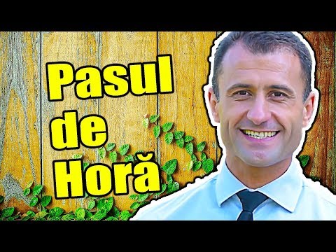 Video: Paul Dans - Caracteristici Ale Direcției De Dans, școală, Cursuri, Elemente