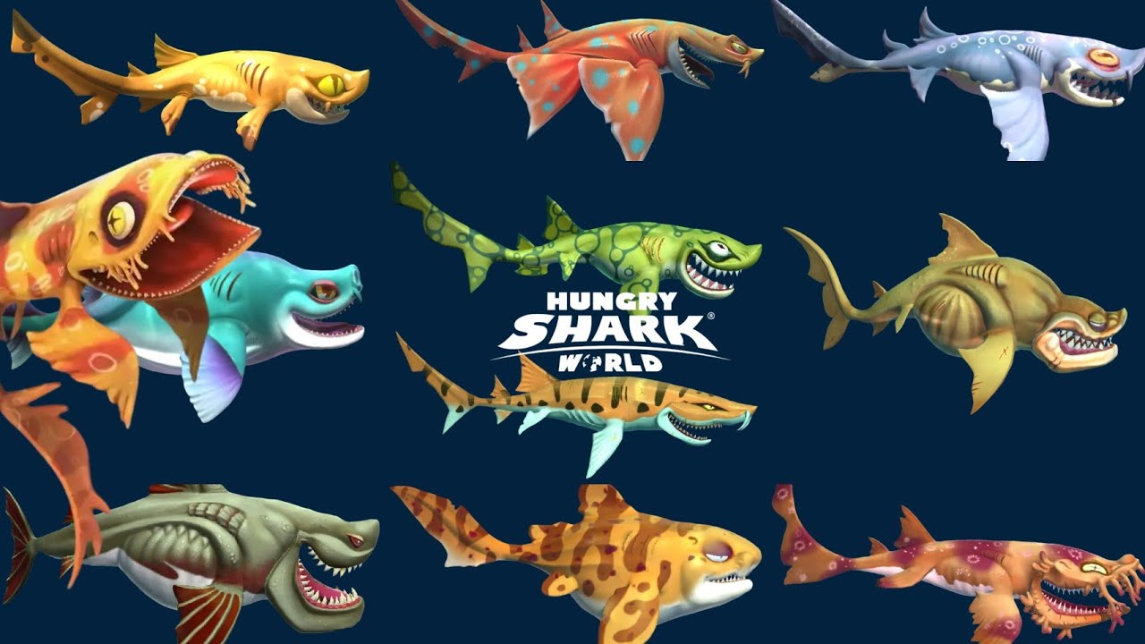 ALL HEIDI SHARKS FAMILY! - Hungry Shark World