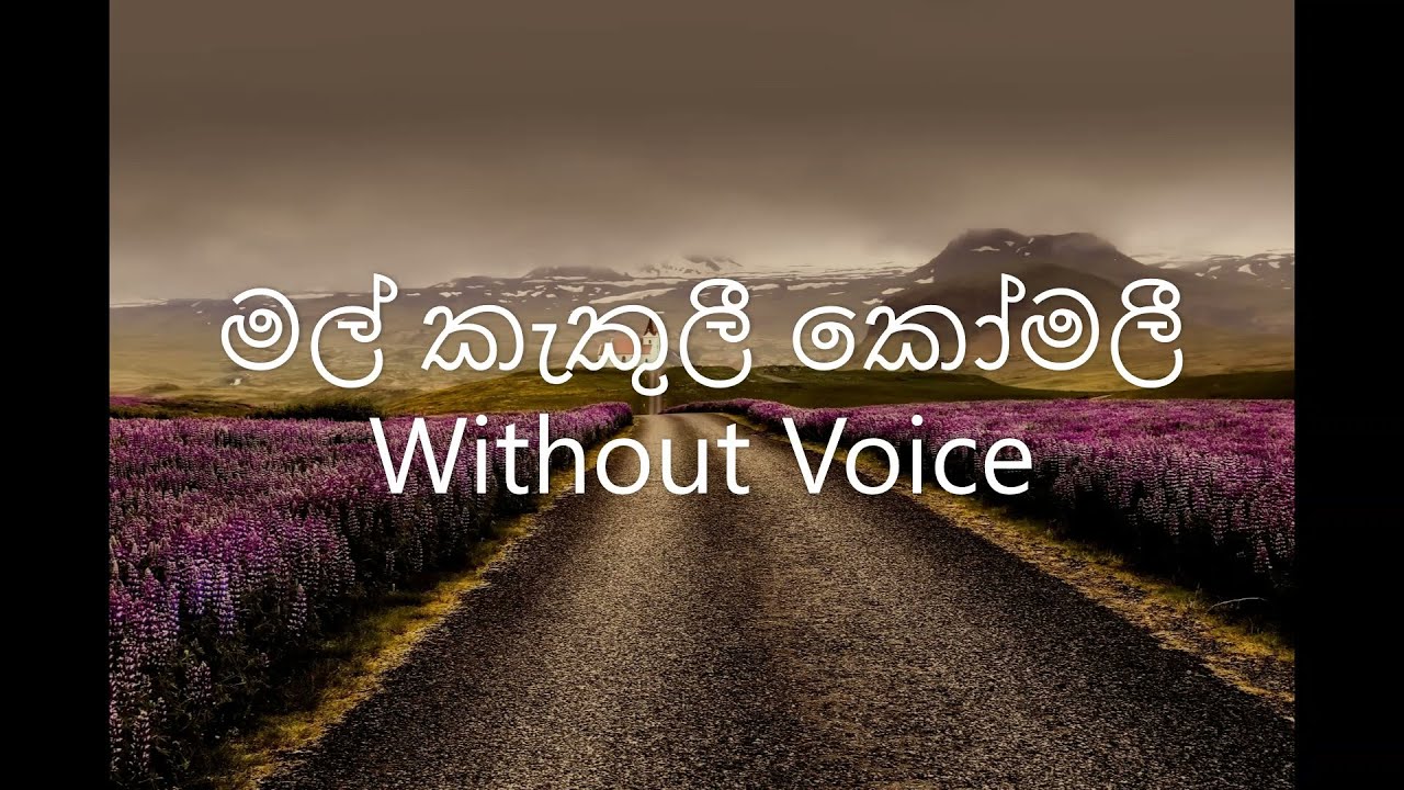 Mal Kakuli Karaoke (Without Voice)/ H. R. Jpthipala