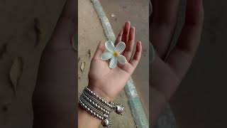 Soft Desi 🦢💋💘💌#music #song #aesthetic #desi #indian #soft #girl #vibes screenshot 3