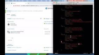 Datera Demo: Object Storage Unleashed with Minio and S3