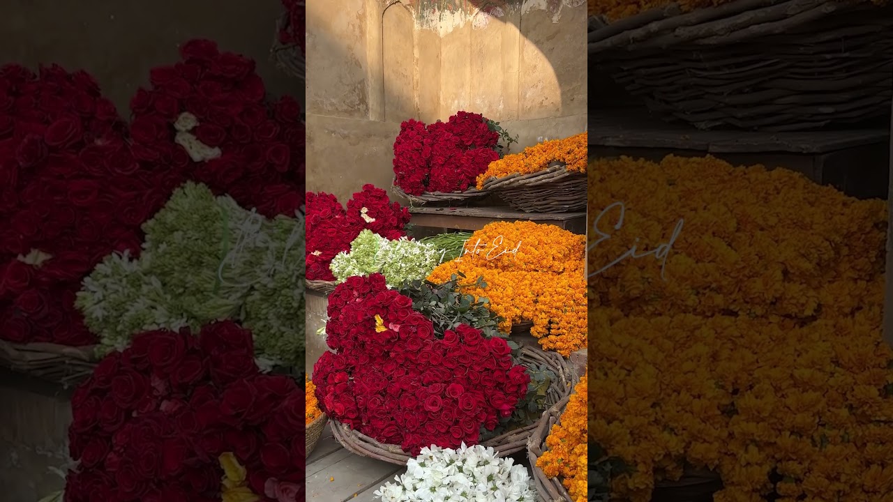 Eid Collection - Coming Soon