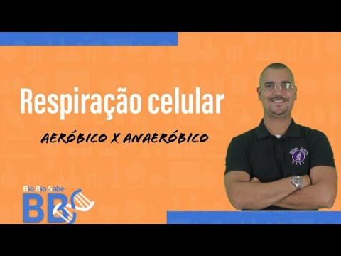 Vídeo: Qual é a diferença entre respiração aeróbica e anaeróbica?