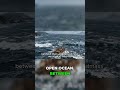 The Impossible Ocean Crossing 65,000 Years Ago
