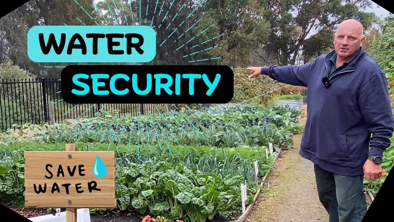 Water Security For Food Gardens: Install A Tank and Harvest Rain!