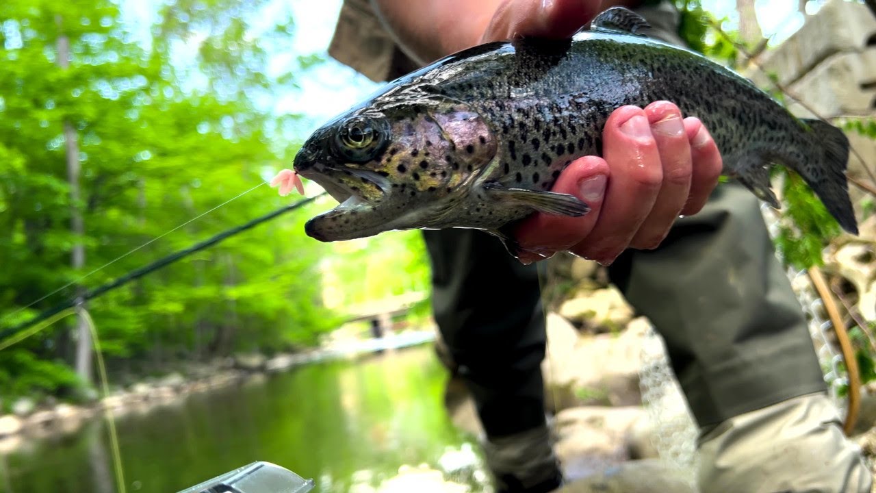 Thanks For 1000 Subs! Fishing Downtown Gatlinburg YouTube