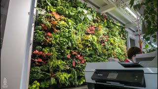 our🌱Products — HyGro™Wall IV
