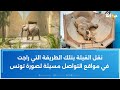 موت فيلة البلفيدير  التي أهداها فرنسي إلى تونس التونسي الذي جلبها يكشف