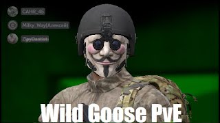 Wild Goose PvE Миссия: Безопасный коридор