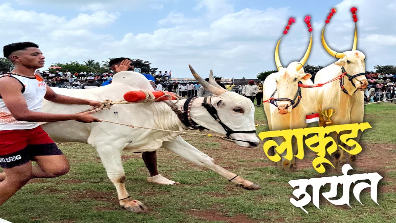 इचलकरंजी लाकूड शर्यत 2025 | लाकूड शर्यत 🇮🇩