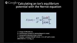 Psl305h1s - lecture 1 the neuron and ionic basis of membrane potential
(jan. 7, 2015)