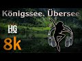 اصوات الطبيعة للاسترخاء موسيقى هادئة اصوات الطبيعة لقطات مختلفة Königssee بجودة عالية 4k 