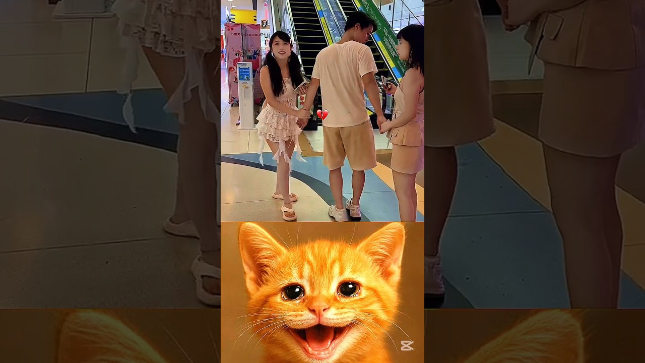 give this video title 🤣 (wearing answer) 