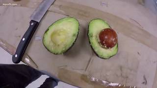 01182018 Tegna Utrgv Scientists Discover Cancer Fighting Properties In Avocado Seed Husk