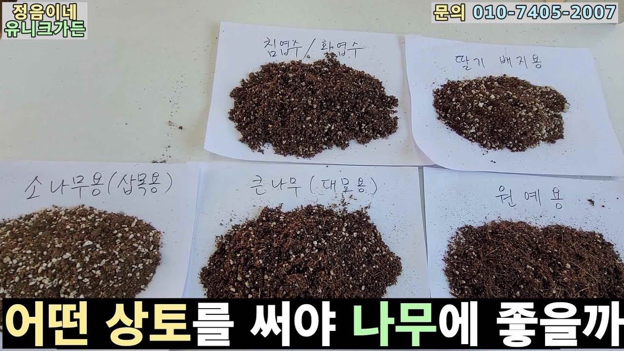 2023 어떤 상토를 써야 나무에 좋을까? / 상토 다섯가지 비교 - YouTube