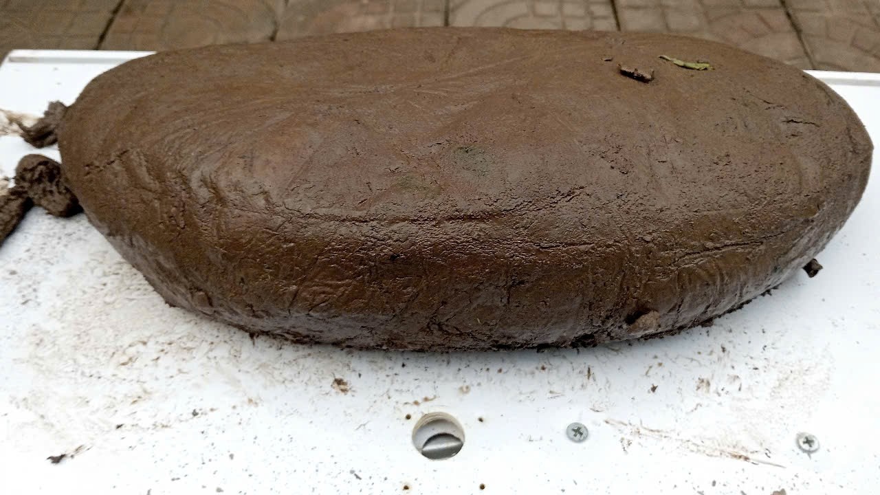 超汚れたオレンジのぬいぐるみをピカピカに洗浄