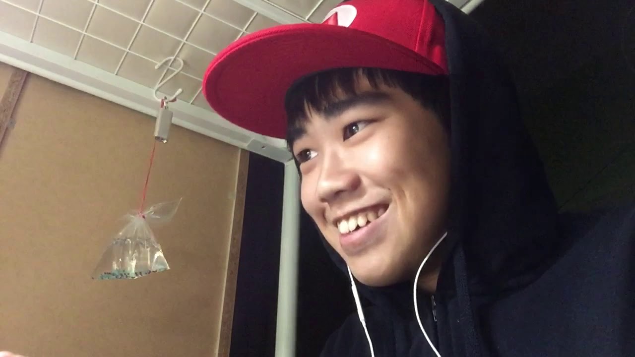 Koki Asmr Youtubeチャンネルアナリティクスとレポート Noxinfluencer