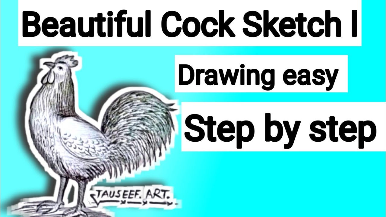 Beautiful Cock Sketch Drawing | Easy Rooster Pencil Sketch | Realistic Bird Art by Tauseef Art