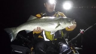 Striped Bass Fishing at Night kayaking