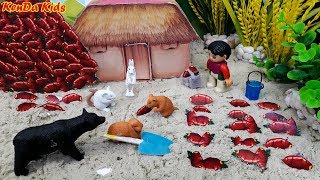 Het Verhaal De Met Speelgoed Dieren Voor Peuters Educatieve Video Voor Kinderen In Het Engels