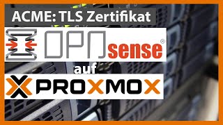 OpnSense: TLS Certificate via ACME.sh [Hetzner Server]