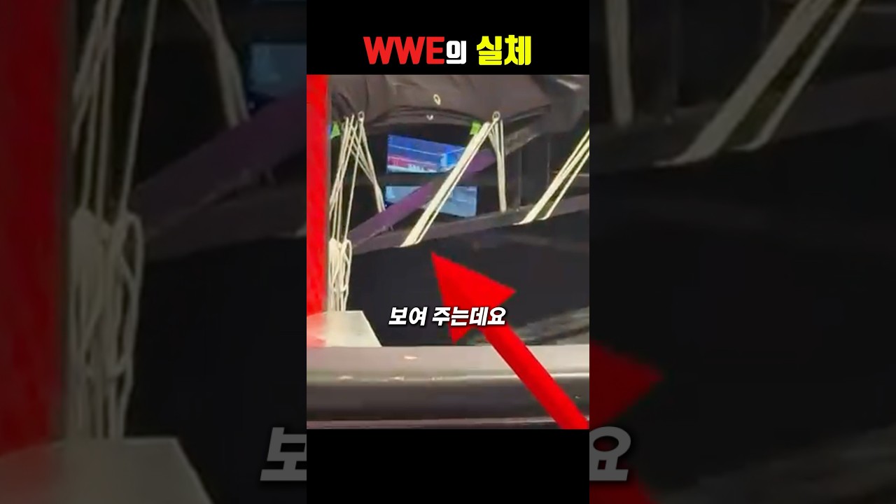 WWE 프로레슬링의 실체