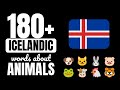 Animals | Learn Icelandic vocabulary (183 words)