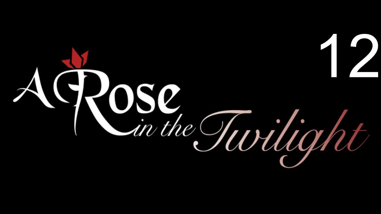 So many puzzles | A rose in the twilight 12