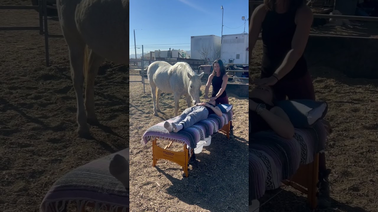 A Horse Energy Healing Session on my ranch. 