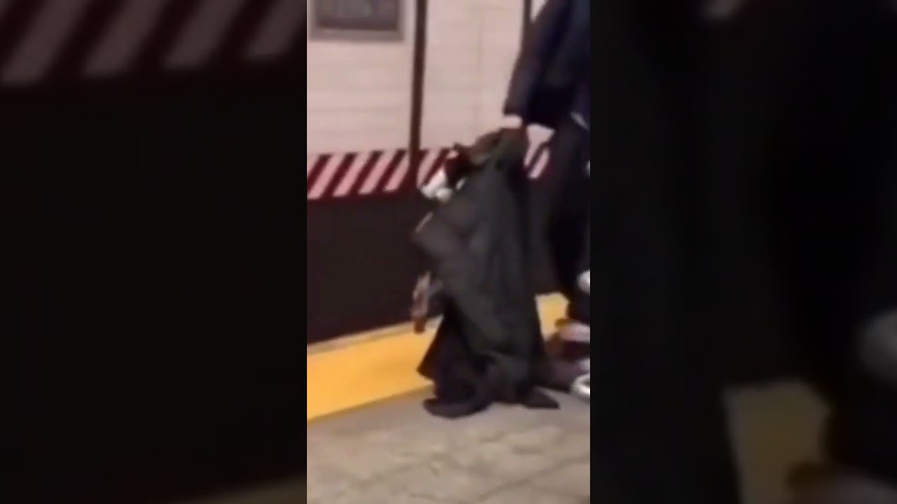 Glitch in the Matrix -A Train station man 