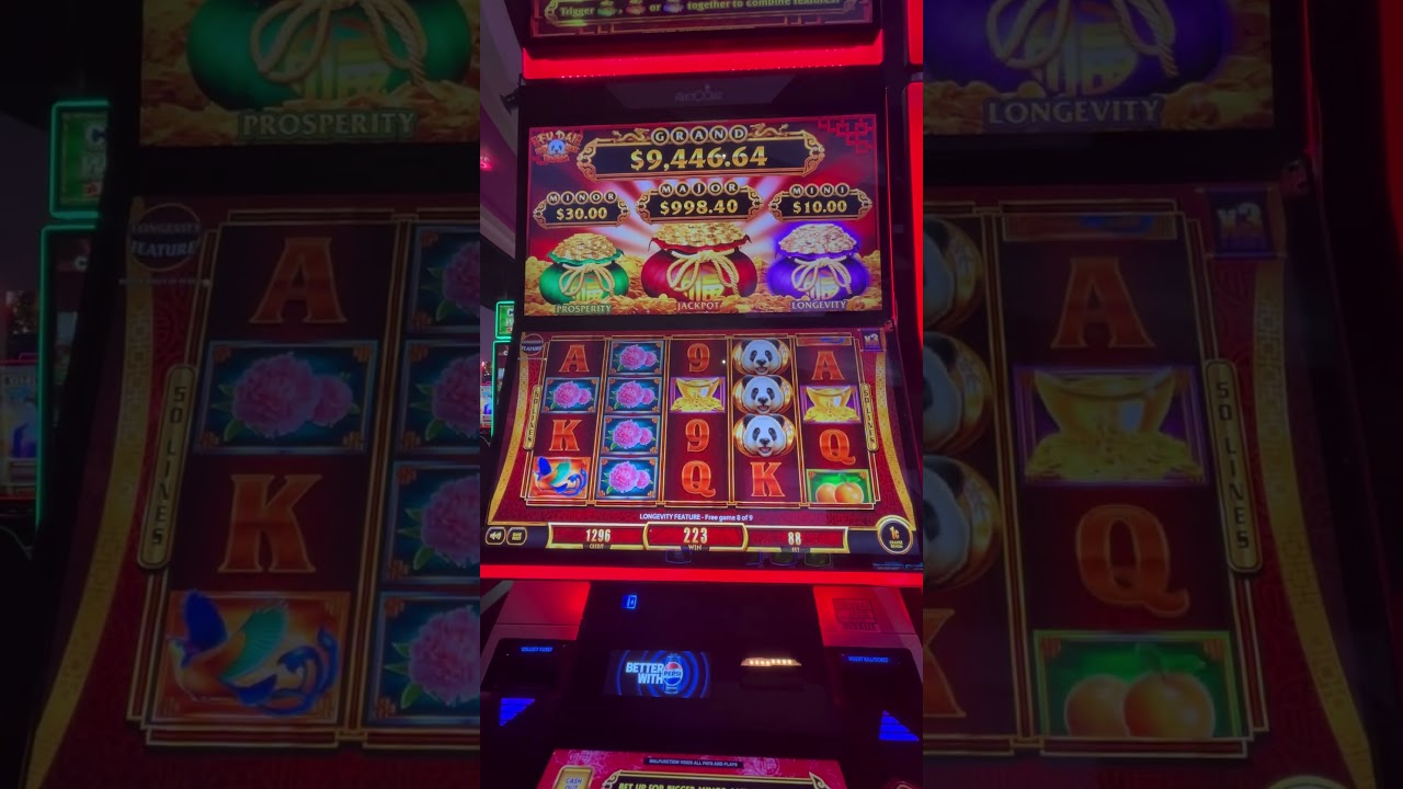 mơ thấy chó đen đánh con gì DONT WATCH TERRIBLE BONUS slot casino jackpot bigwin slotmachine