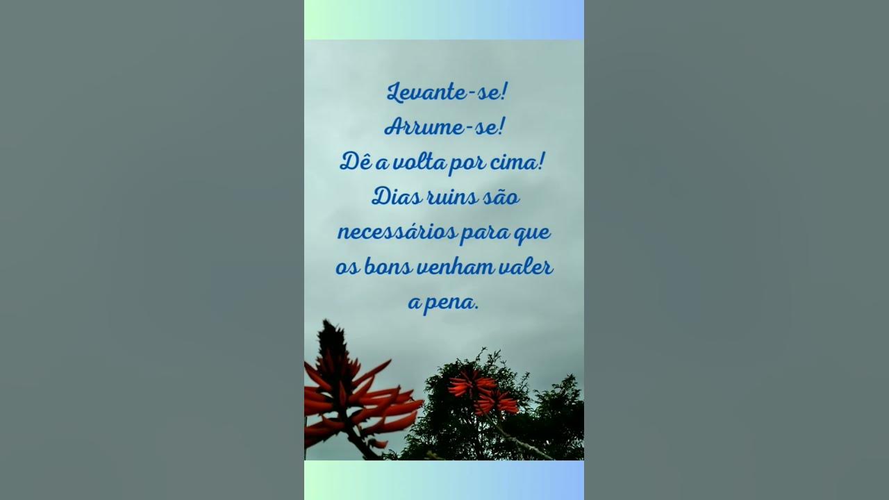 Caminhando pela manhã, um momento singelo de Paz e Esperança