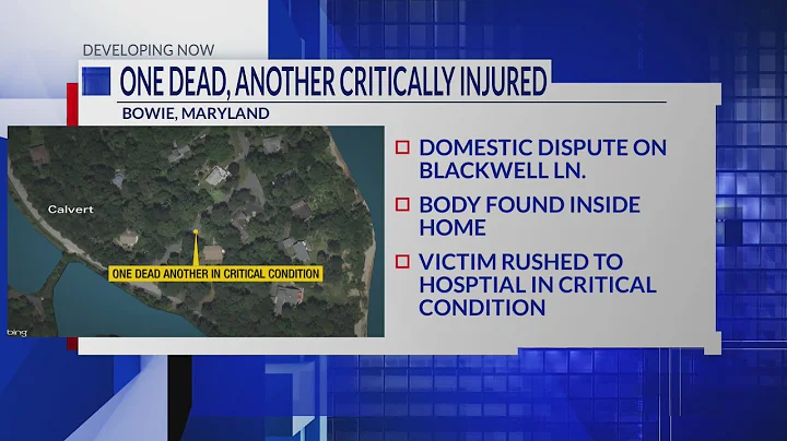 Bowie man accused of killing his elderly mother, injuring woman